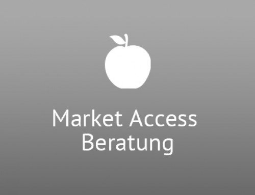 Market Access Beratung